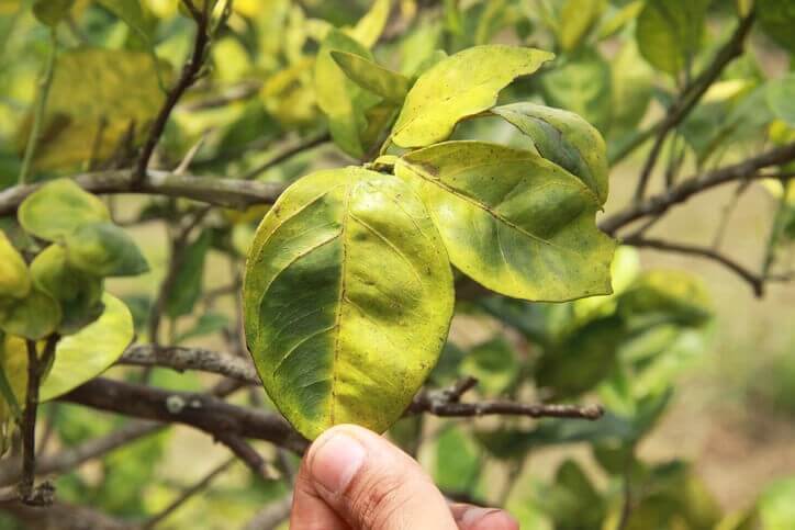 Xem ngay Hiện tượng sốc nước