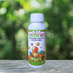 NUTRI 01