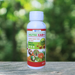 NUTRI CAB+
