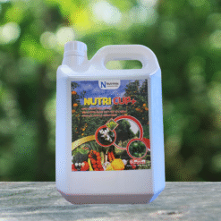 NUTRI CUP+
