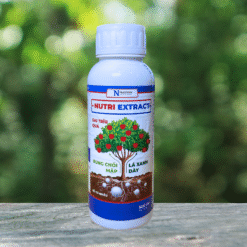 NUTRI EXTRACT