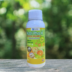 NUTRI PHOZ K