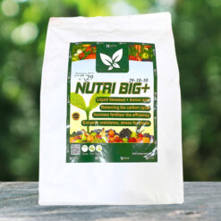 Nutri Big+ 29-10-10 – Phân bón NPK hỗn hợp