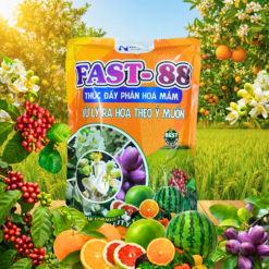 FAST-88