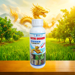 NUTRI DRAGON