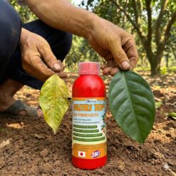 Nutri Mix Spark