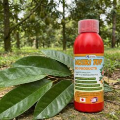 Nutri N Spark
