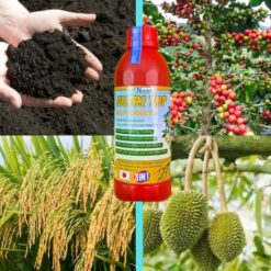 Nutri K Spark